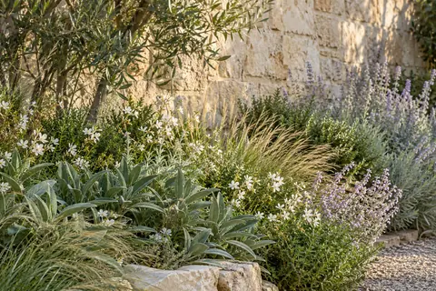 Sage, ornamental grasses and delicate pale flowers beside a warm stone wall.